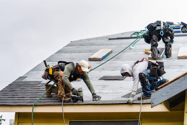 Professional Gutter Installation technician working in Grandy, MN